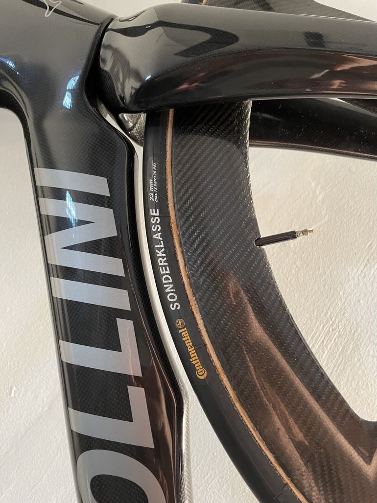 Cipollini - Speed, 2019