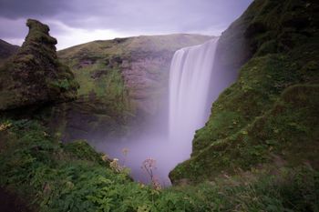Canyon, Spectral 125 CF 8 2022