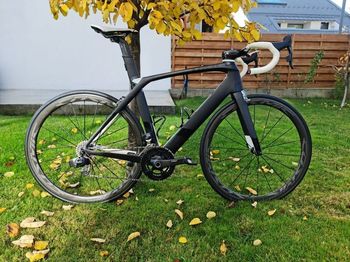 Aegis, ZAERO Frameset 2019