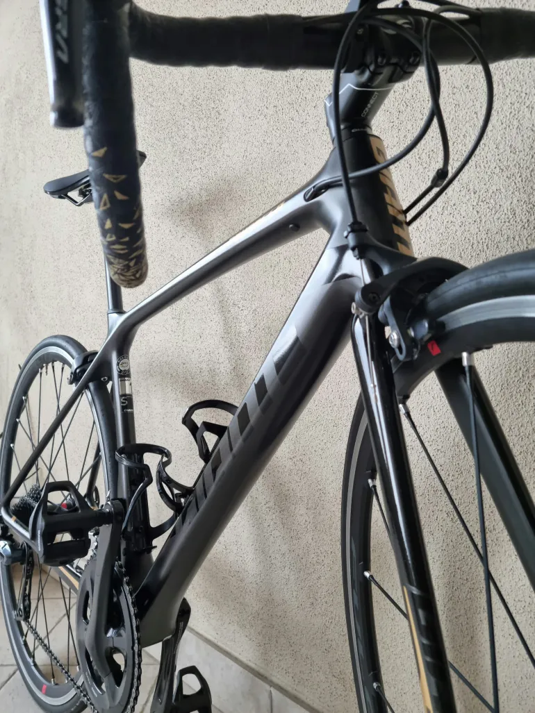 Giant - TCR Advanced 1, 2019