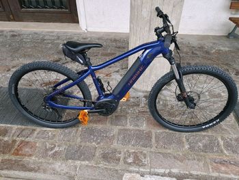 Brugt Haibike AllTrack 4 29 2023 Mountainbike — billede 1 af 3