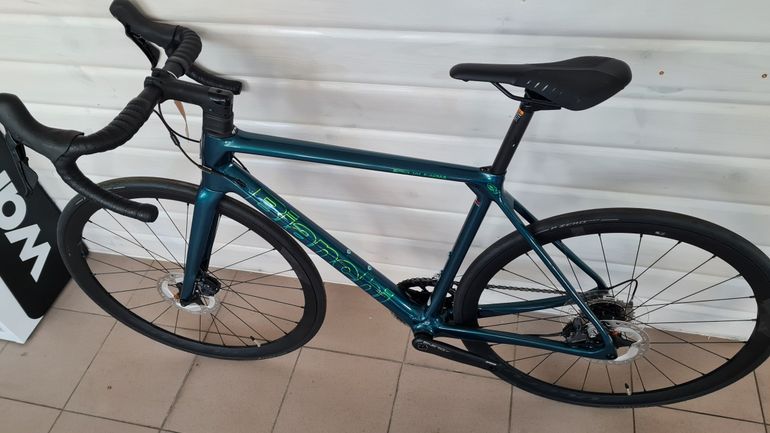 Bianchi - Specialissima - Ultegra, 2022