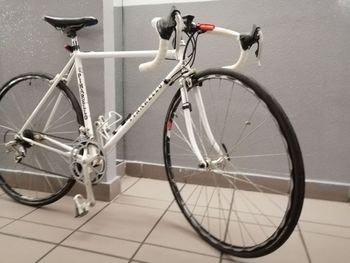 Pinarello Cadore 2000 Road & Gravel usato, Bianco — immagine 4 di 16