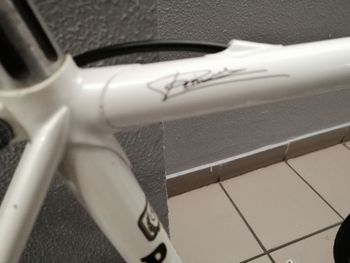 Pinarello Cadore 2000 Road & Gravel usato, Bianco — immagine 6 di 16